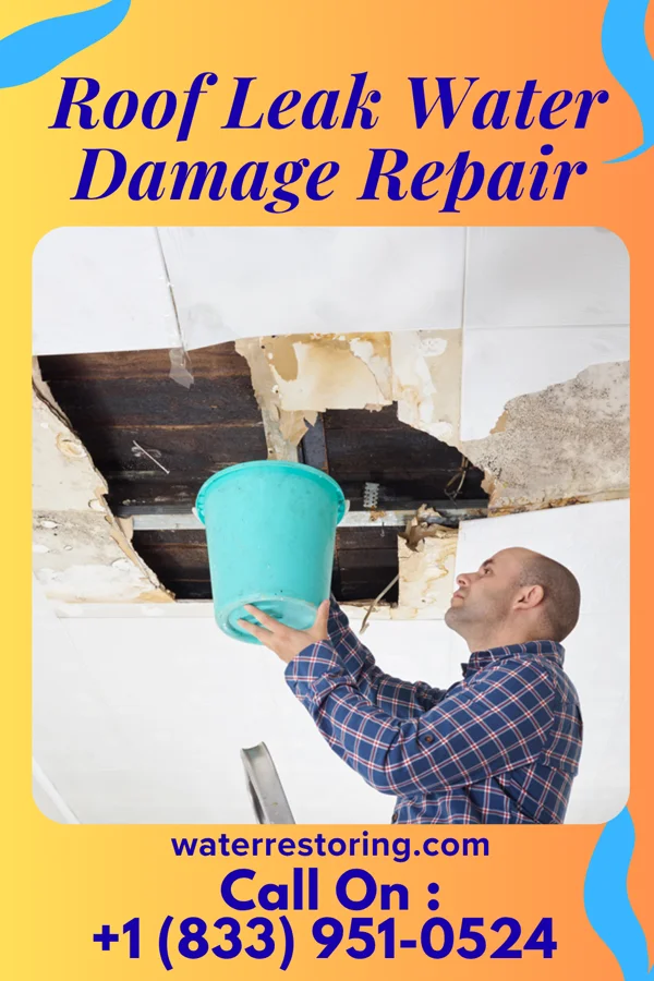 Roof Leak Water Damage Repair in Cameron, TX